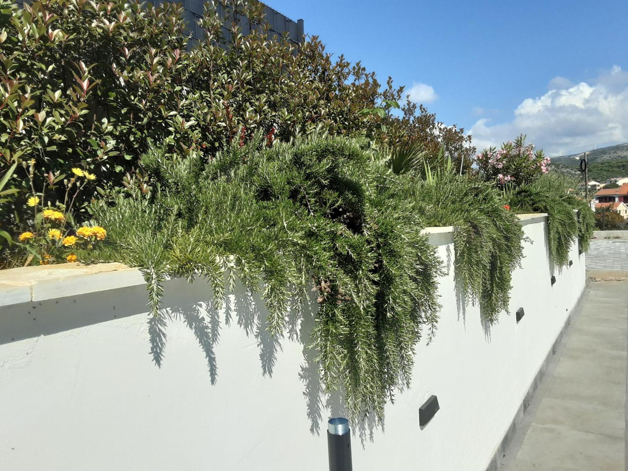 Barbara & Zoran With Free Parking And Heated Swimming Pool Apartment *